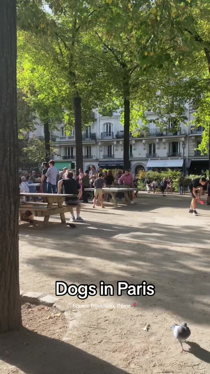 @dogs in Paris 🐶