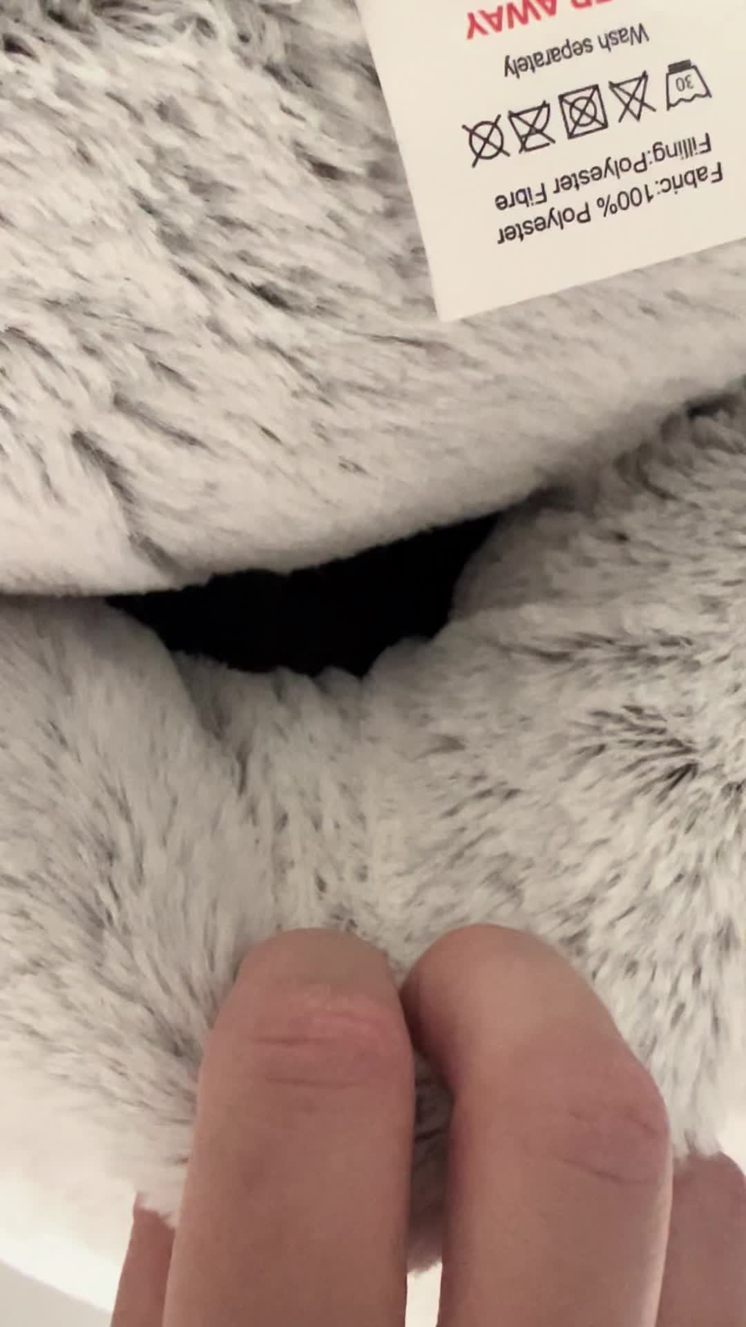 @RedFxs