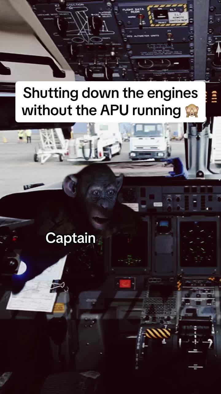 @Flap Operator