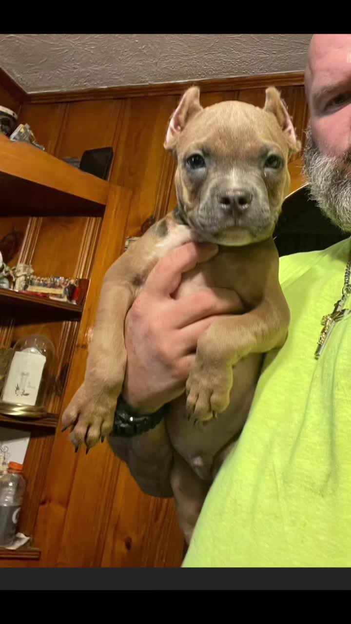 @smithbrothersbullies1