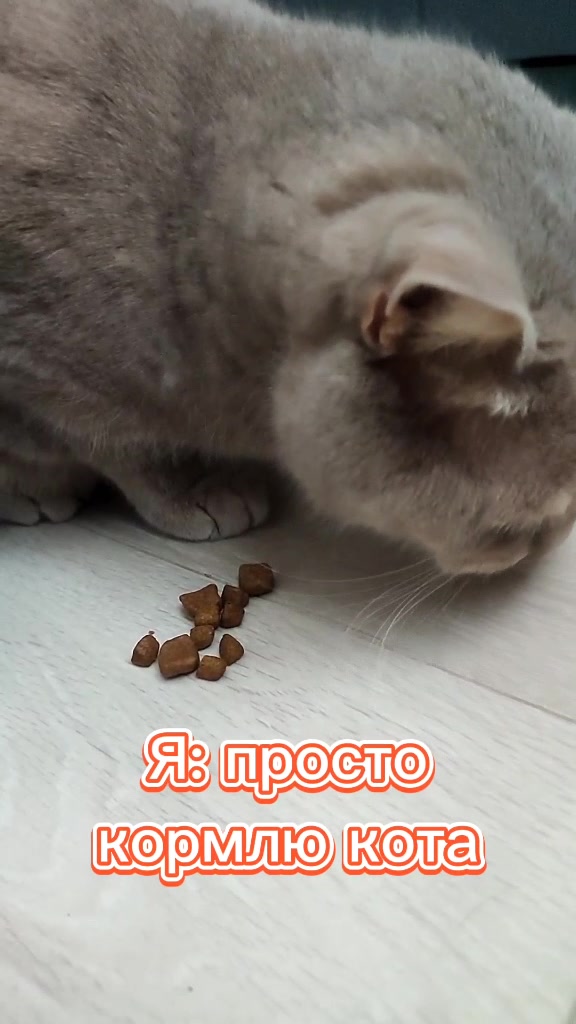 @꧁ꕥ𖠌😻𝓛𝓮𝓿&𝓔𝓶𝓶𝓪𓃠✪ꕥ꧂