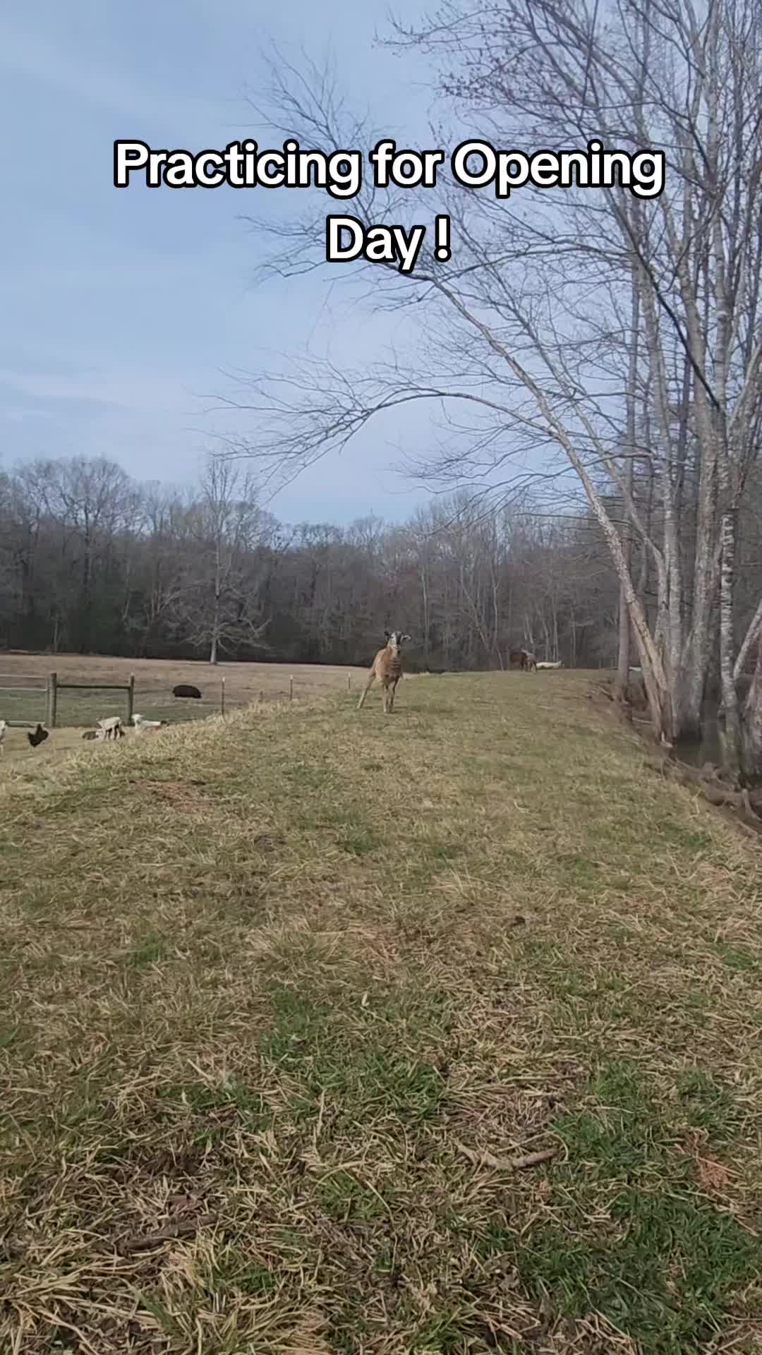 @MistythevLlamahowtos