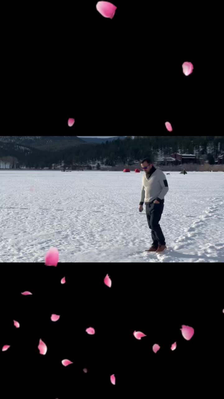 @Rohid453