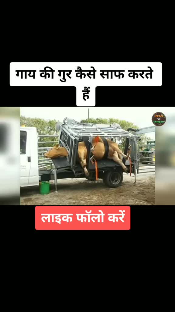 @aadam37 कुचामन सिटी