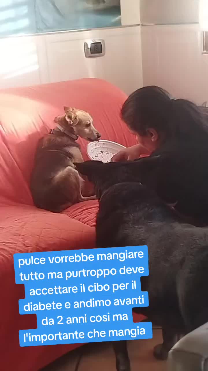 @Ciro Pelliccio