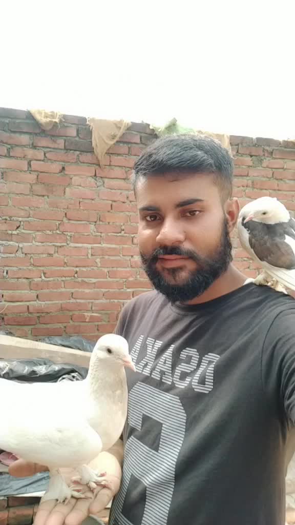 @Sahjad Ansari