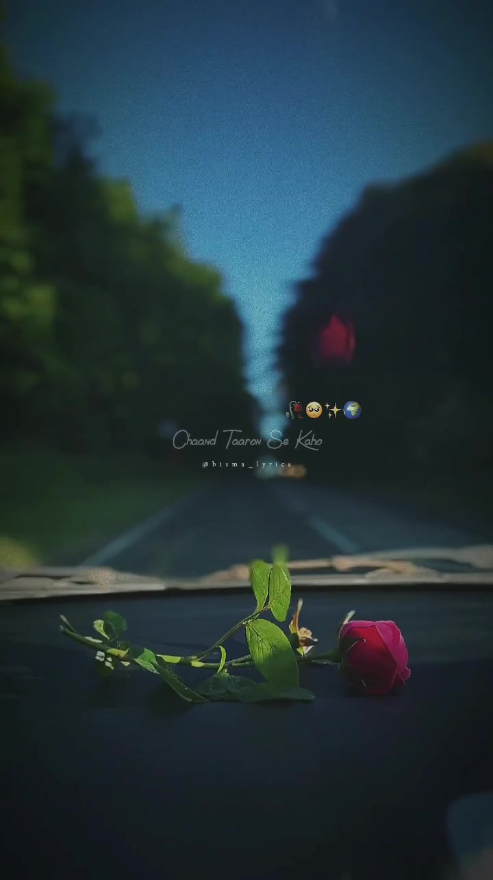 @๐ฟ๐ฆ๐๐๐๐ ๐น๐๐๐โจ
