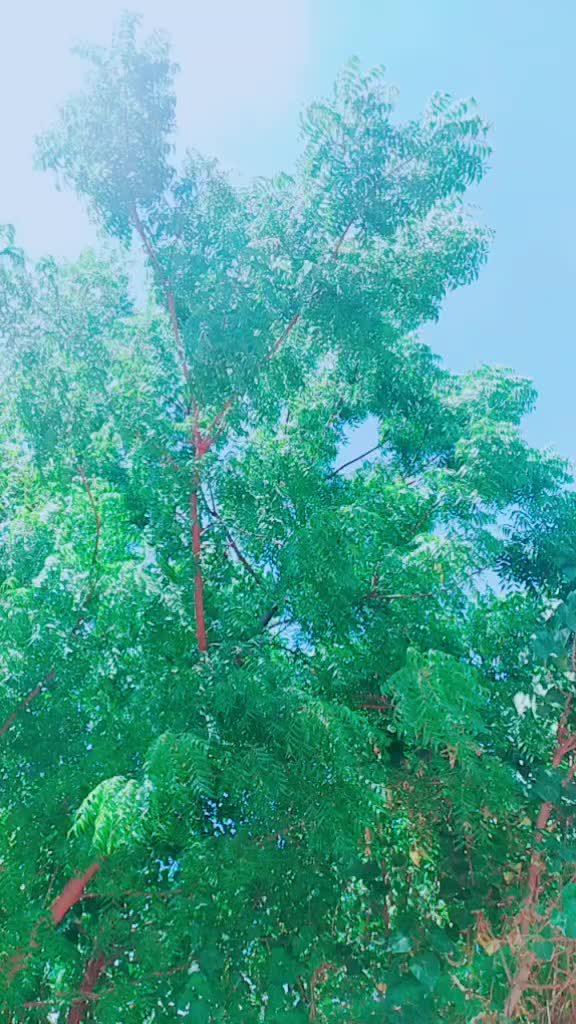 @கள்ளக்குறிச்சி காரன்