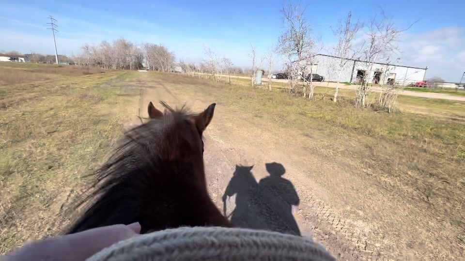 @CowboyBob_Horsemanship