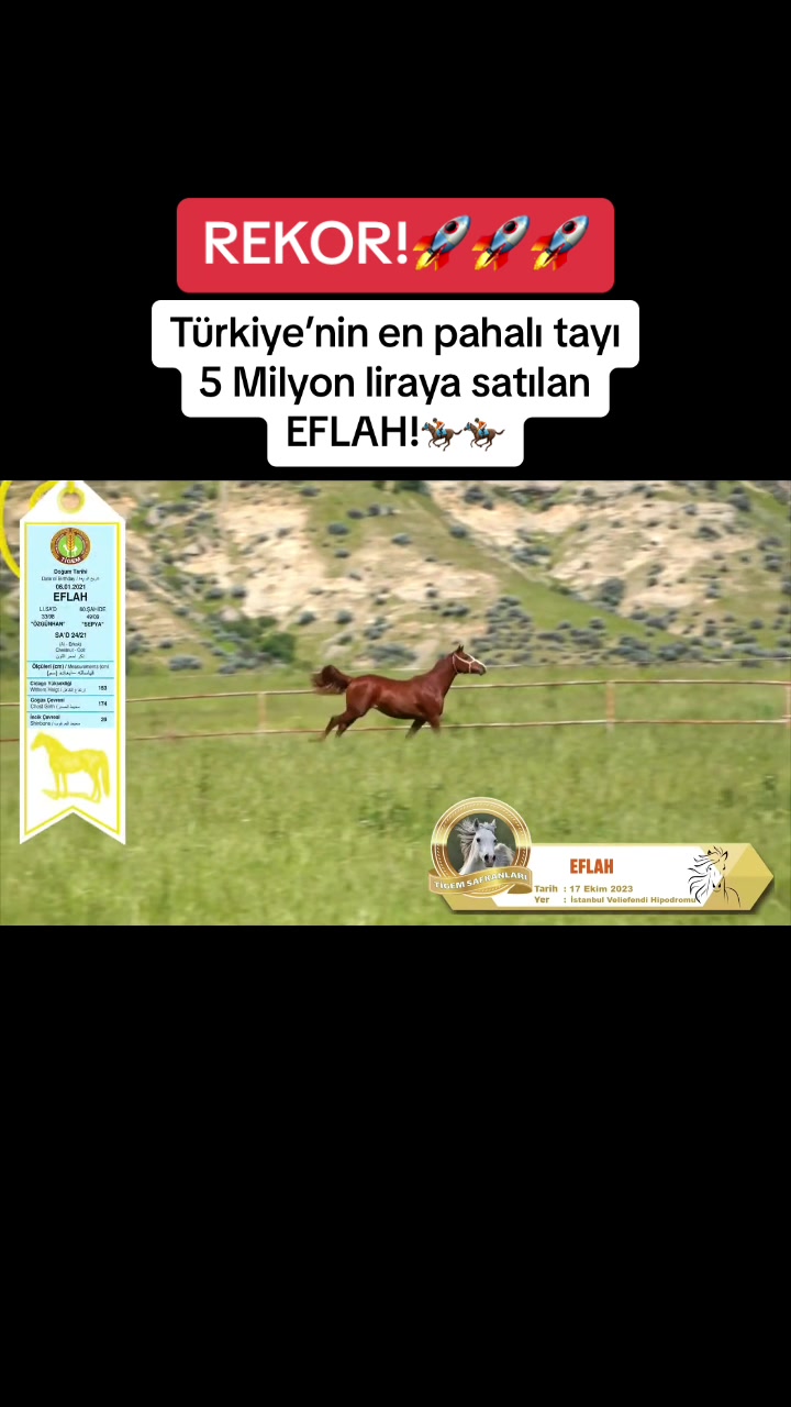 @Koşturan TV
