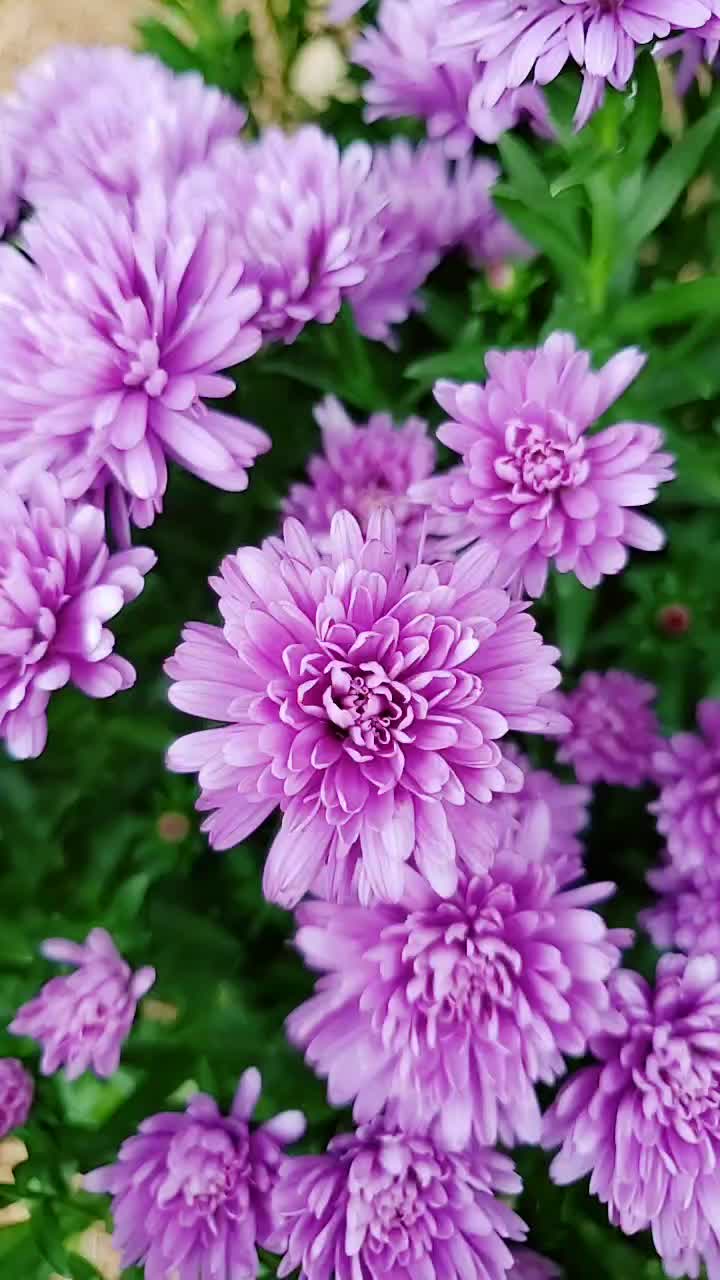 @Meeraphotos