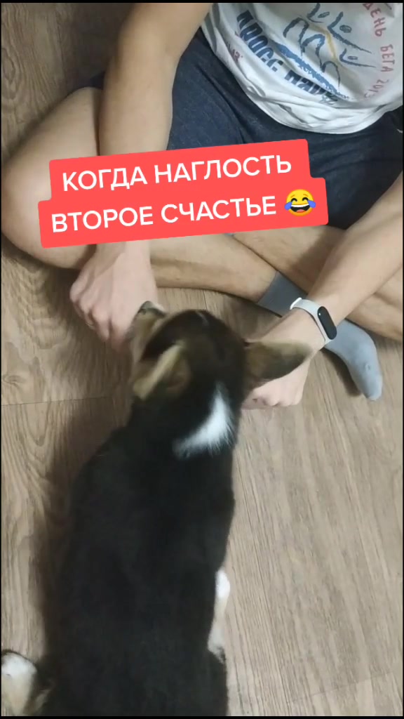 @ialexkul