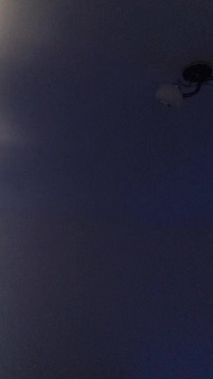 @paranoid.