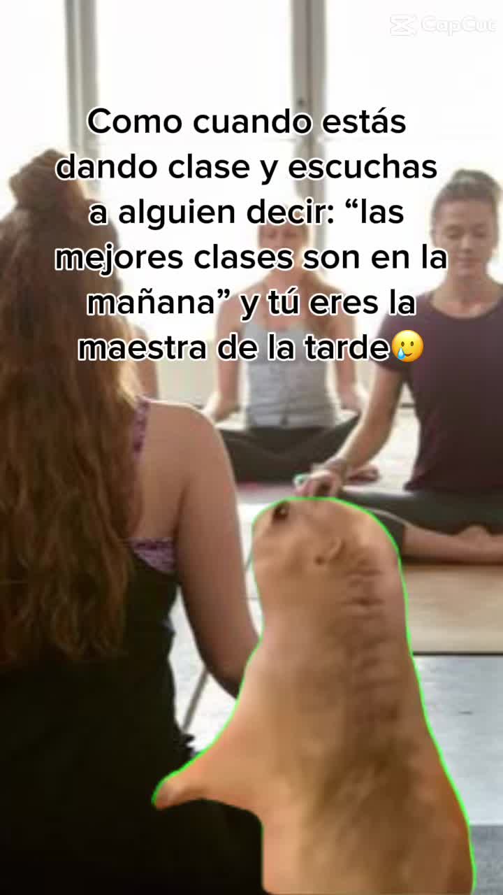 @Vane Páez