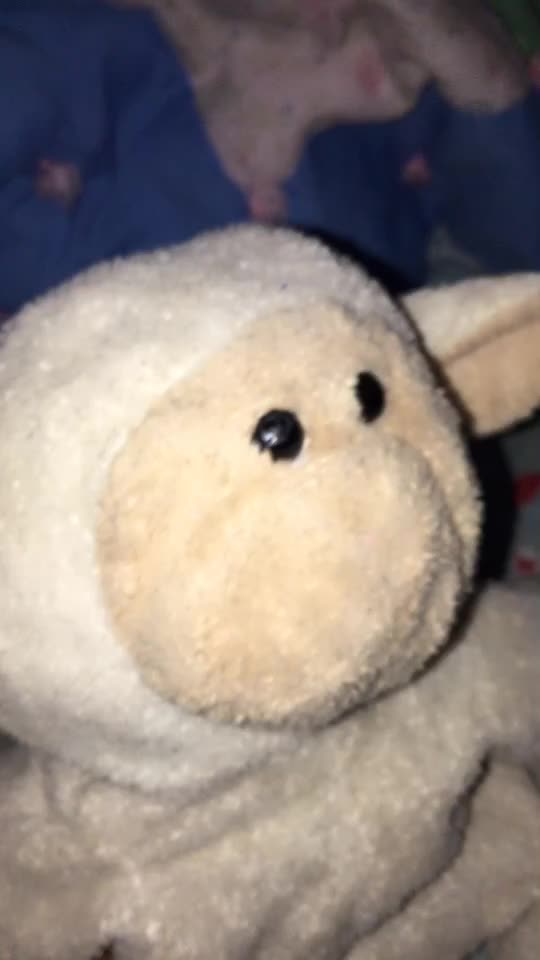@Plushes/stuffy’s