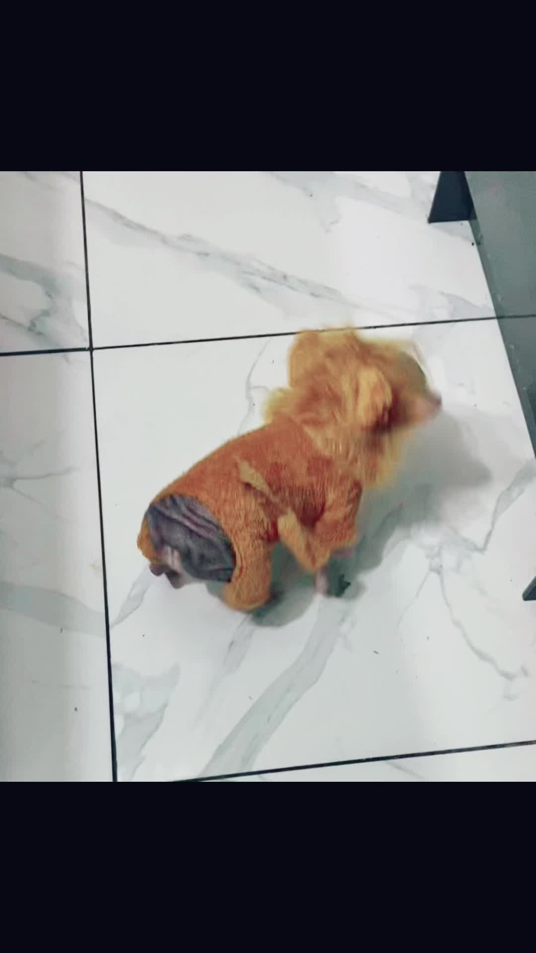 @Softskinpuppies