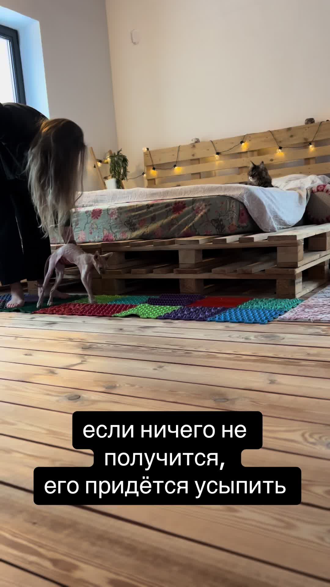 @kris_zoohotel