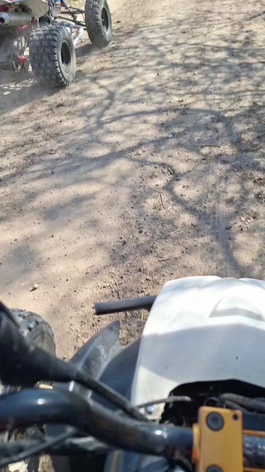 @anonymus riders