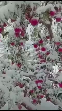 @user2626869241709