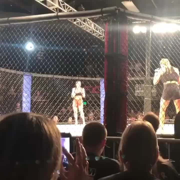@Knockout Clips