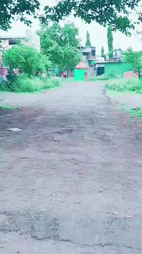 @_roshani_