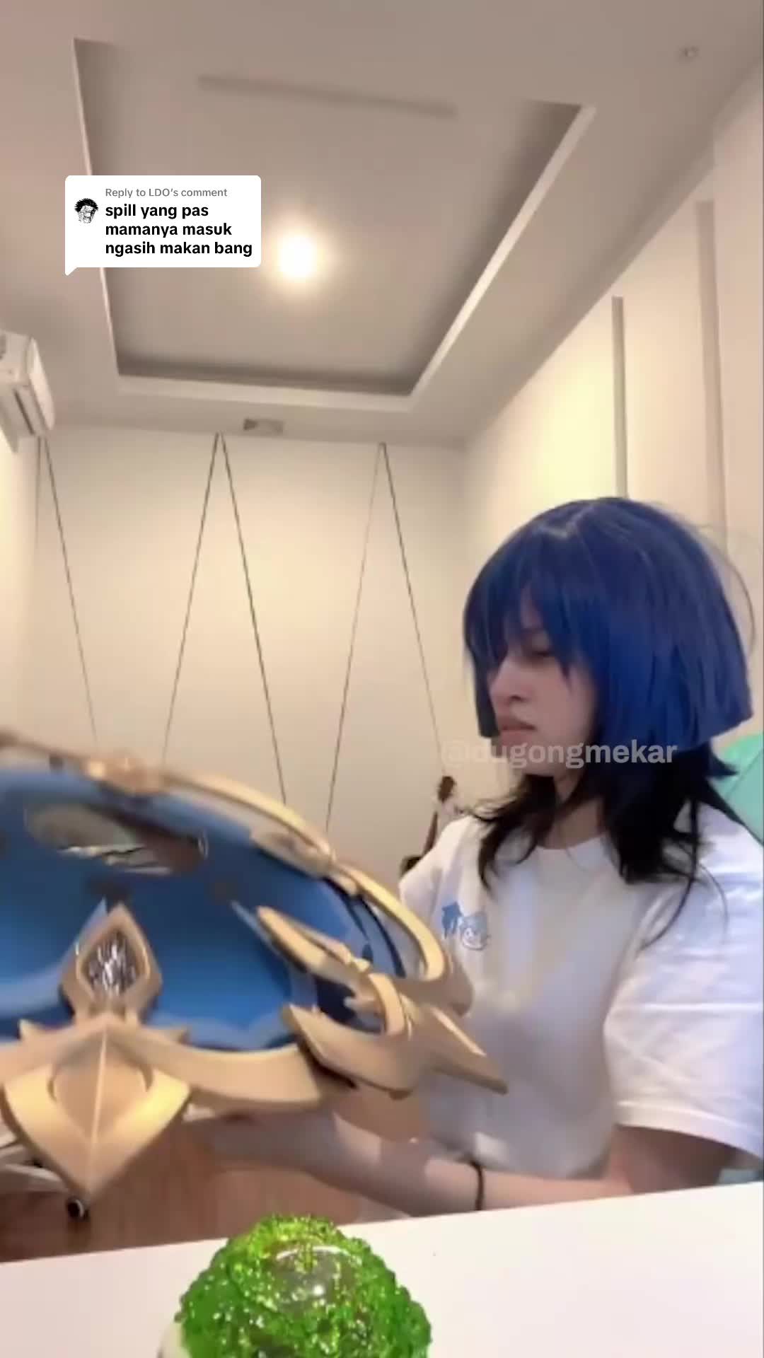 @dugongmekar