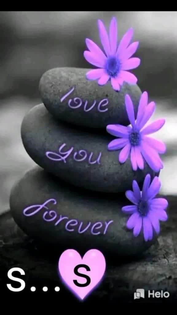 @sudha