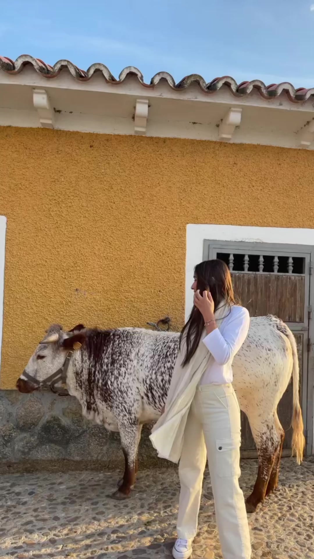 @Paula Quintas Parras