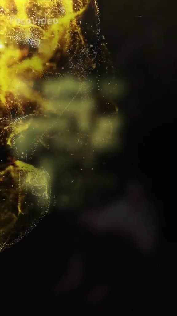 @Manav Guru