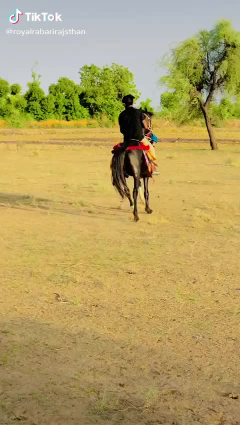 @Mangilal Dewasi