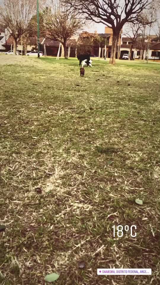 @el.tiktok.de.santi