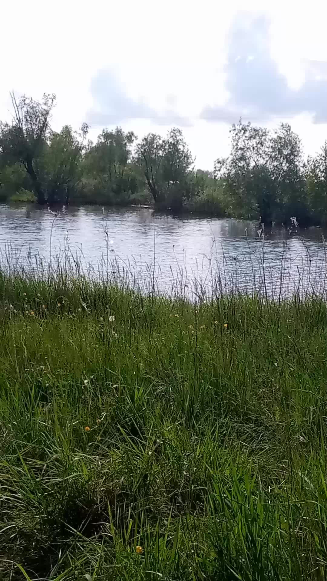 @Книги