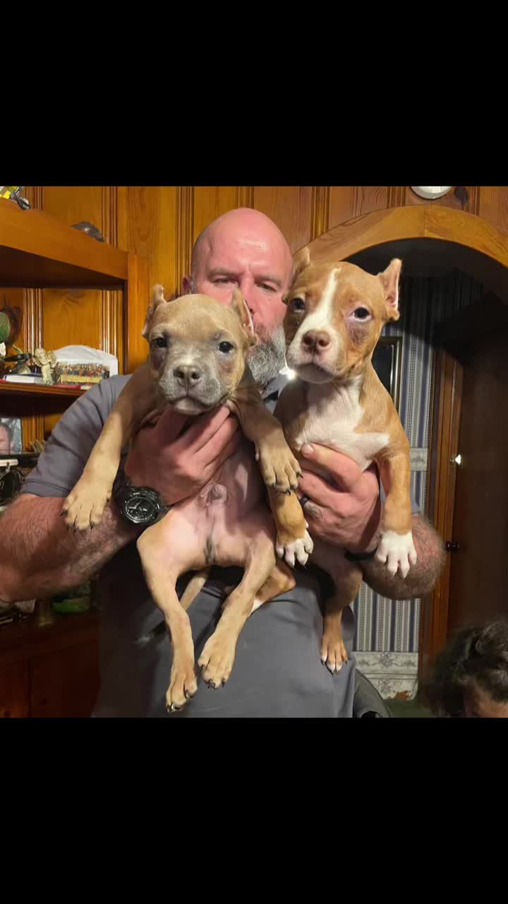 @smithbrothersbullies1