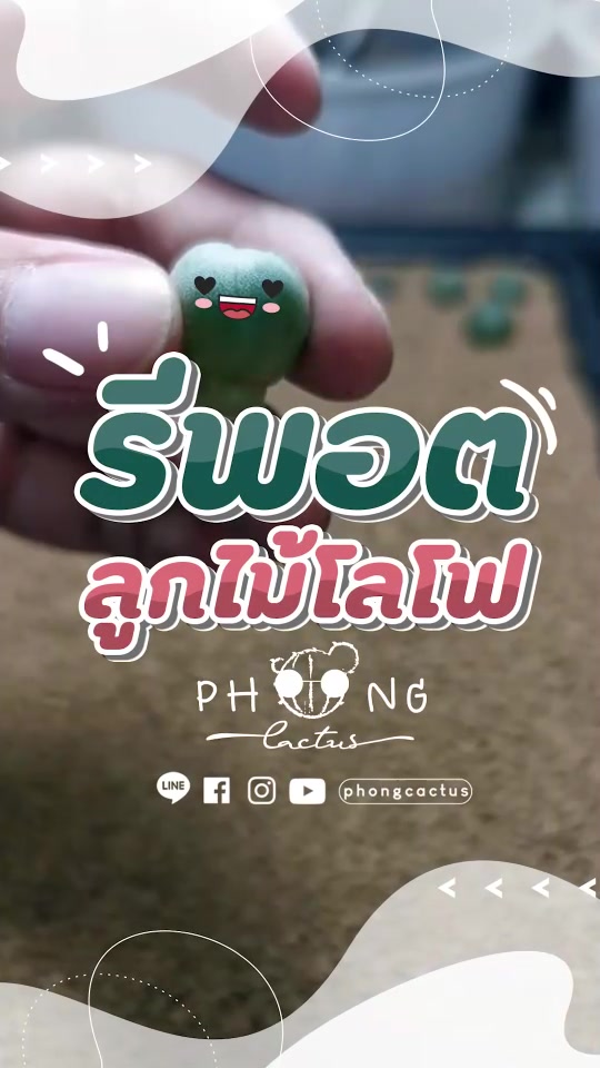 @PPhong SP