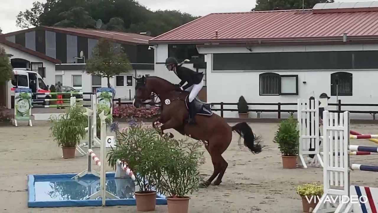 @Lisa.seifenblase