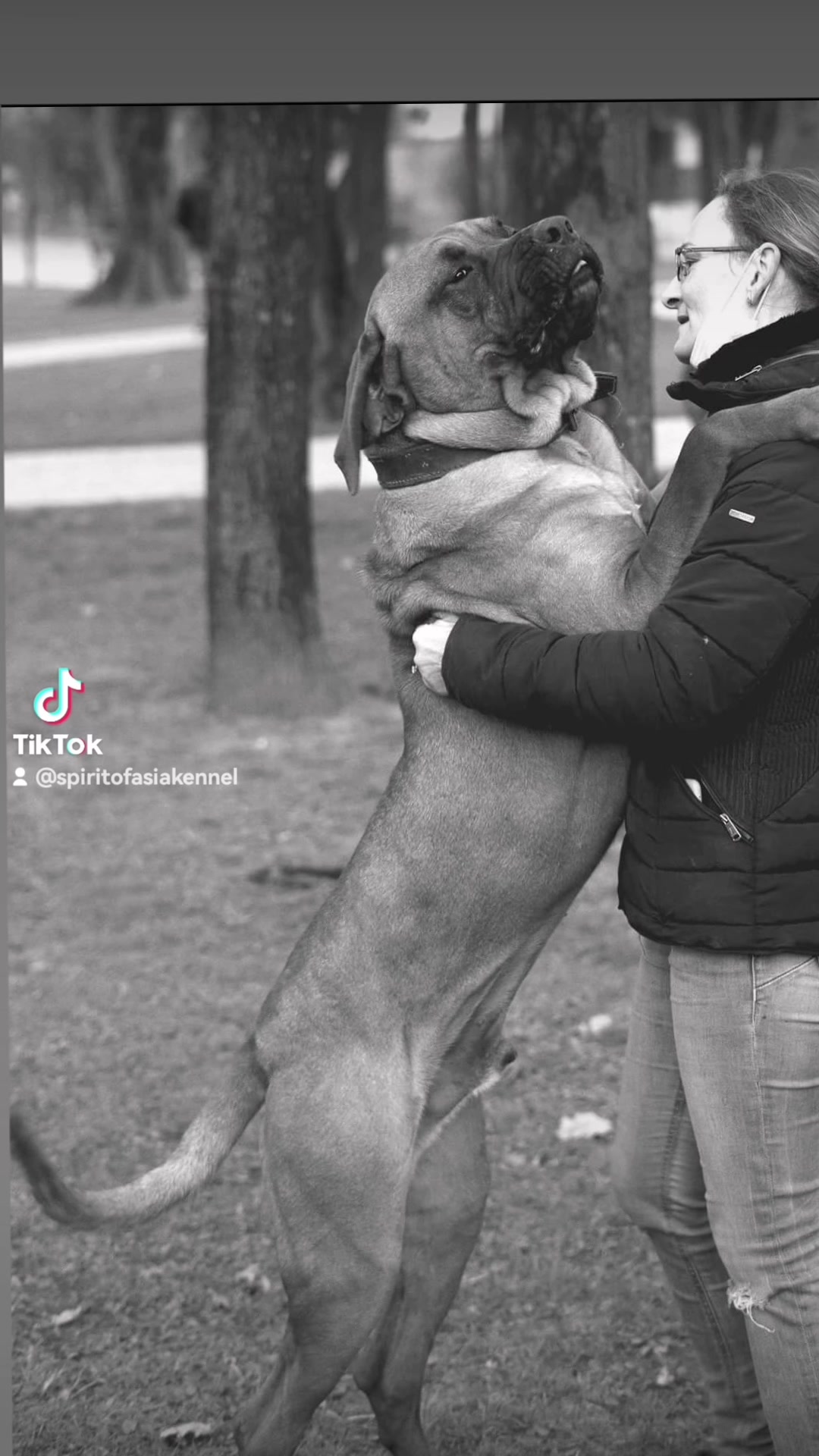 @Spirit of Asia Kennel