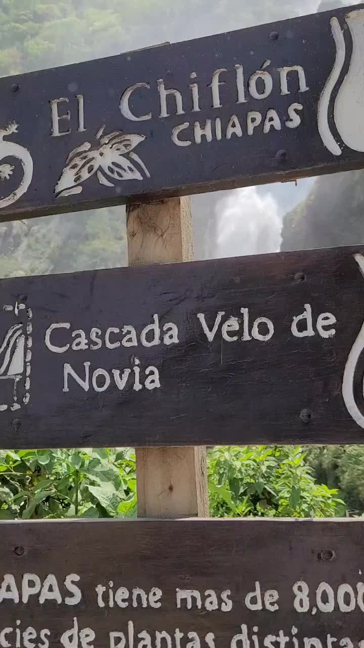 @Chiapastours