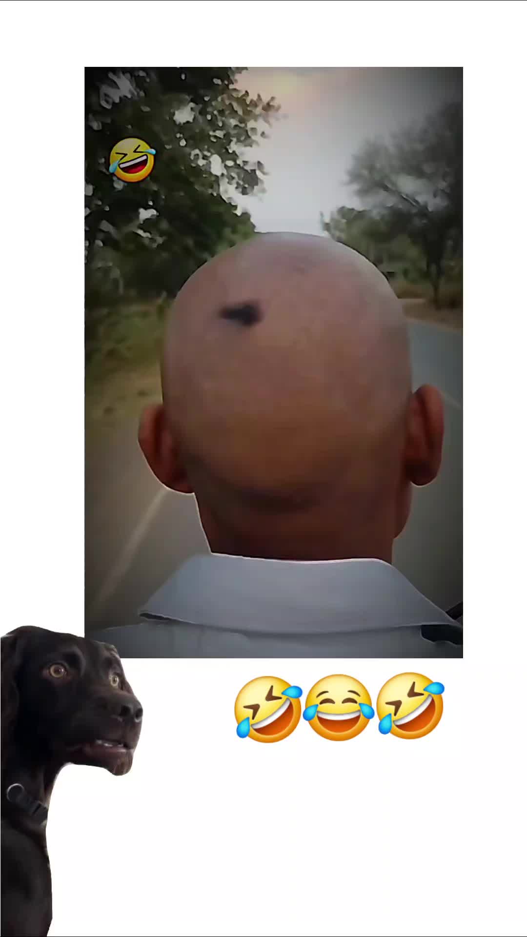 @Chillszone🤣