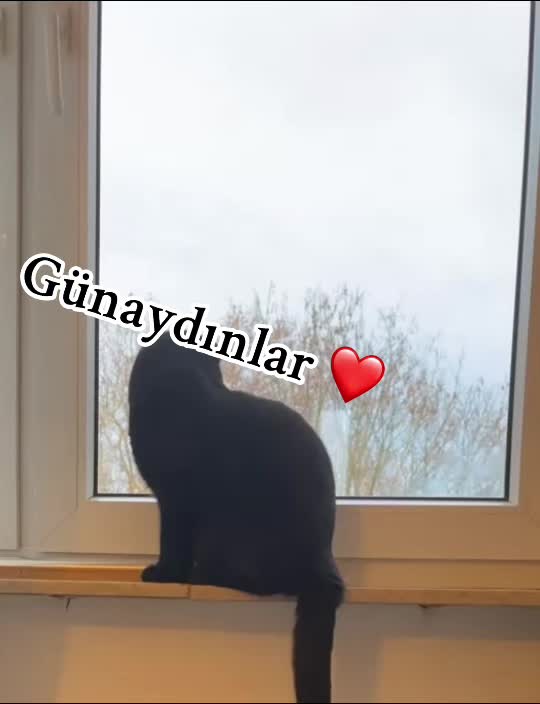@Gulecan
