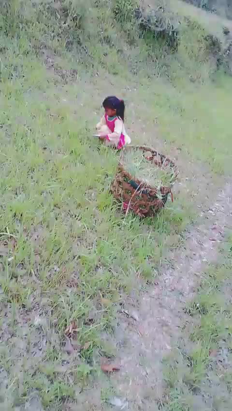 @Archana Jagwan