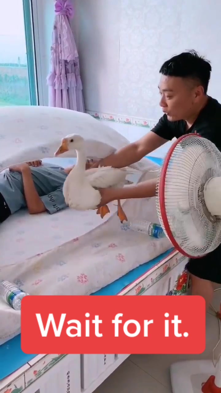 @liuyan97