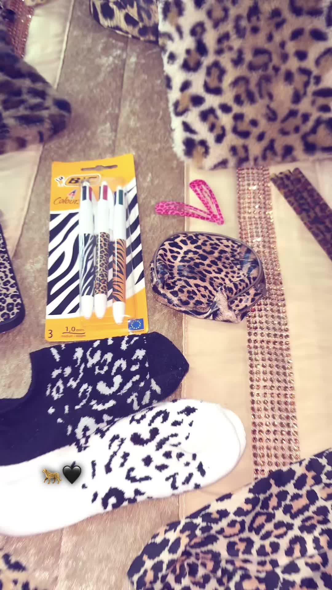 @loopez 🐆