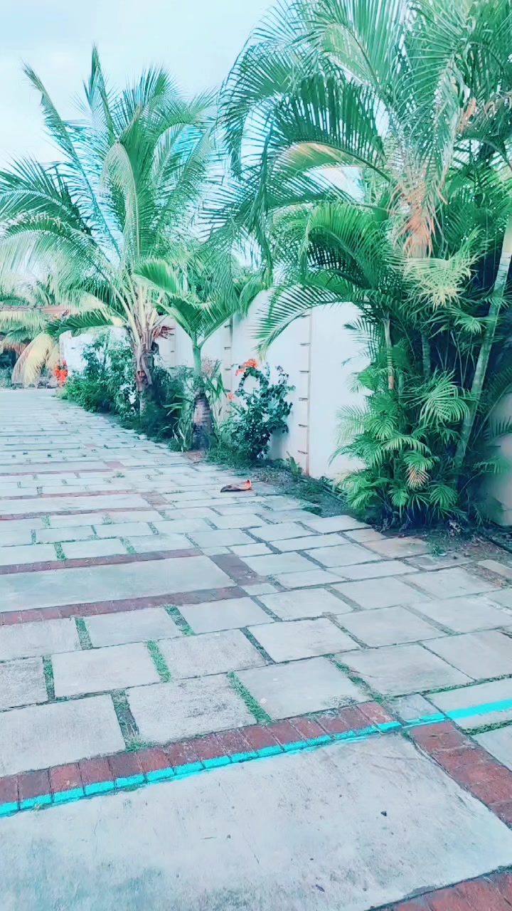 @Queen Khan558