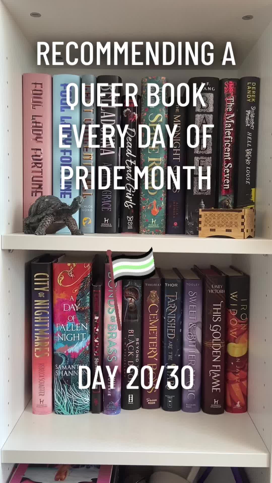 @el 🏳️🌈