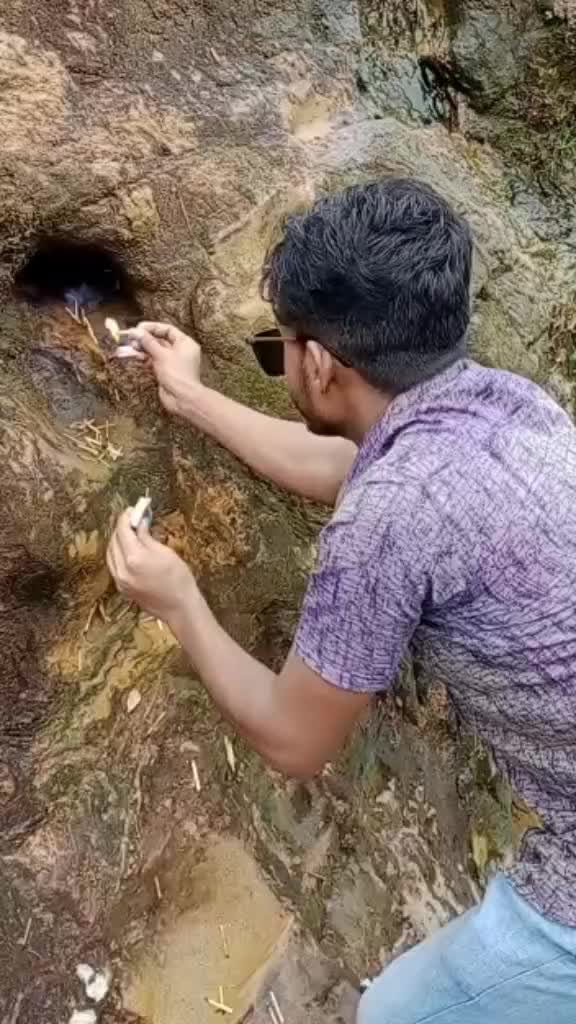 @শরীফ তৌসিফ নোমান(MST)
