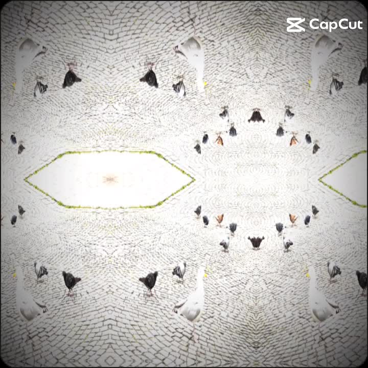 @𝙇𝙪𝙘𝙖𝙨 𝘼𝙍𝙉 🦜