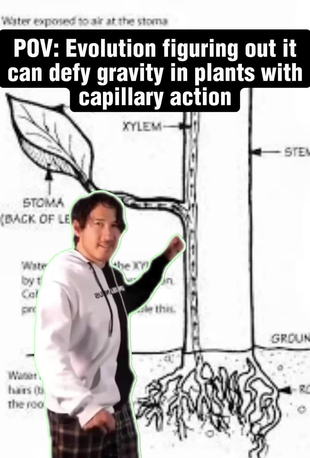 @GetAPBIOed