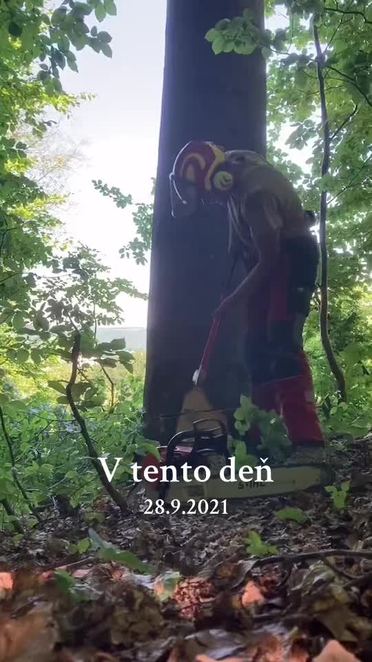 @Deno D.