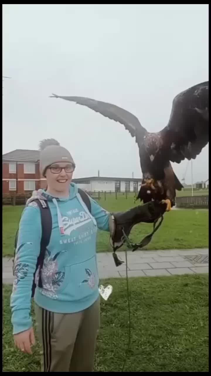 @MasterPegasus