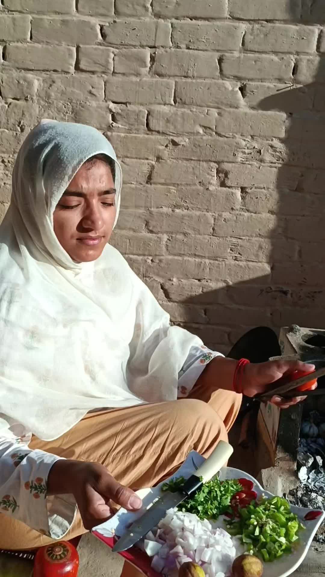 @Punjabipenduvloger_456